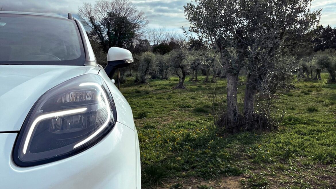 شركة فورد تصنع قطع غيار السيارات من أشجار الزيتون