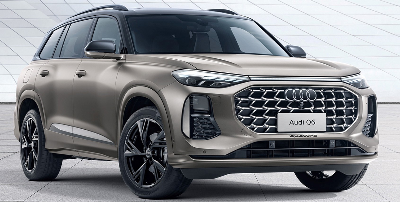 Audi q6 2019